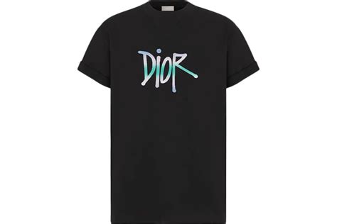 Dior And Shawn Oversized T.